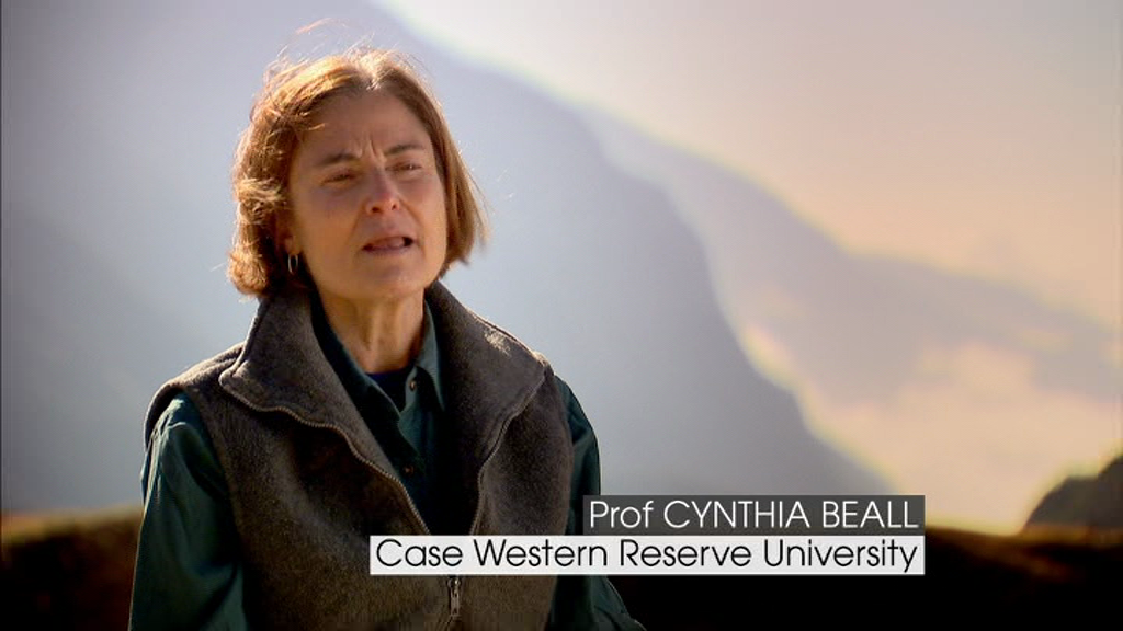 Professor Cynthia Beall